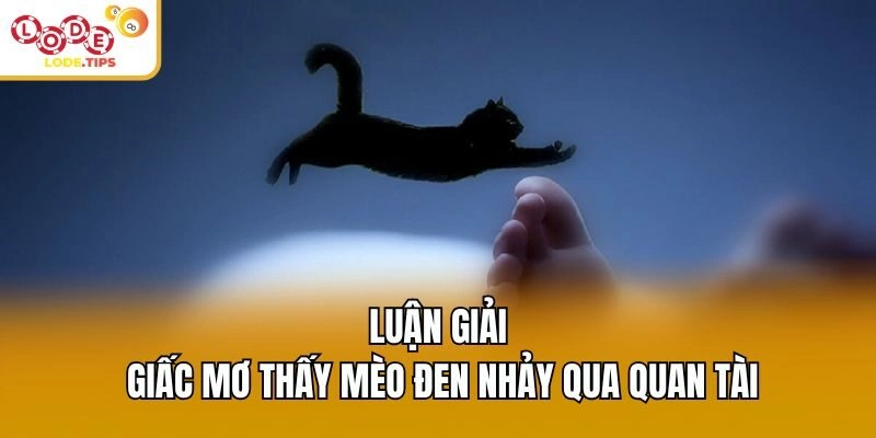 Luận giải giấc mơ thấy mèo đen nhảy qua quan tài
