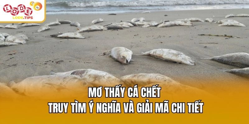 Mơ Thấy Cá Chết - Truy Tìm Ý Nghĩa Và Giải Mã Chi Tiết